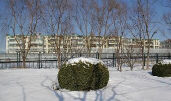 O tym marzą ekolodzy: Areszt za palenie węglem!