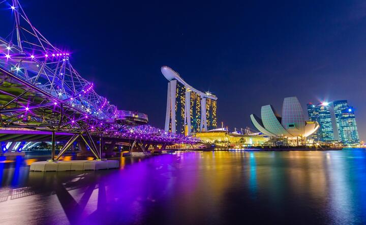 5,7-milionowy Singapur / autor: Pixabay