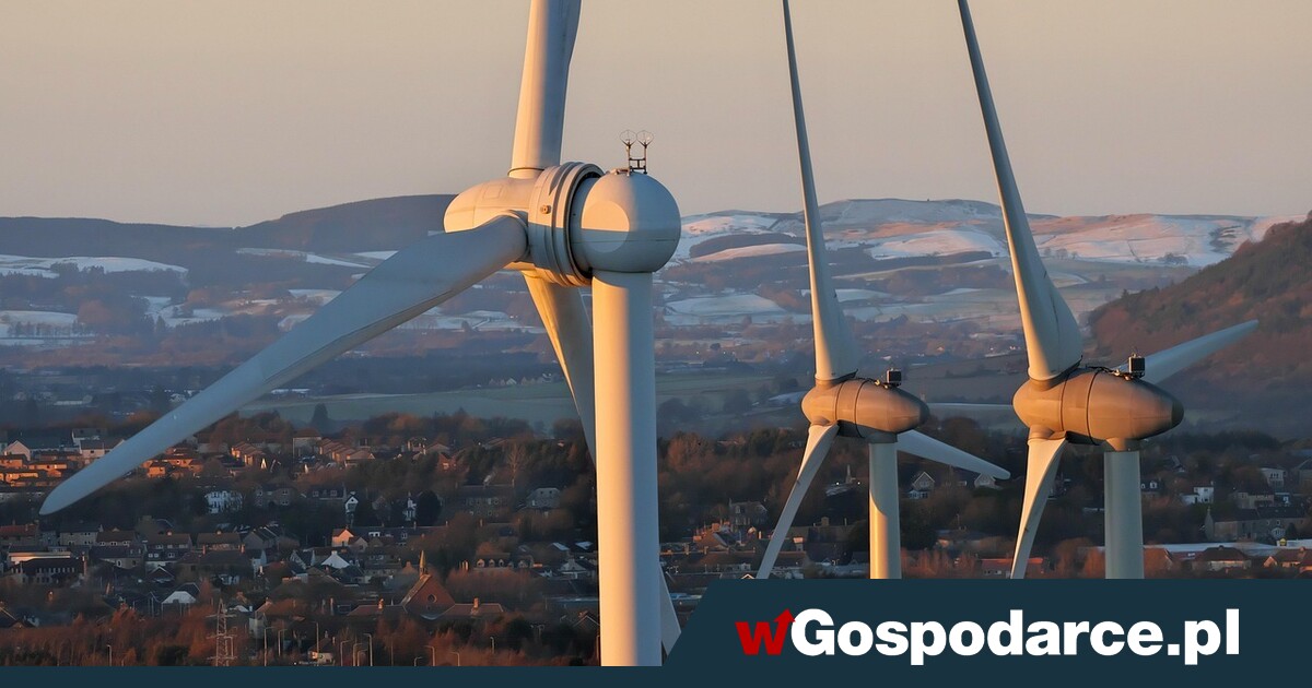 Zielona pobudka w Londynie