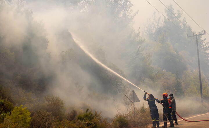 Pożary w Grecji / autor: PAP/EPA/DAMIANIDIS LEFTERIS