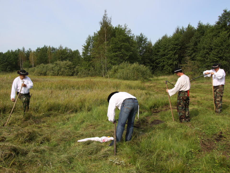 fot. biebrza.org.pl/K. Henel