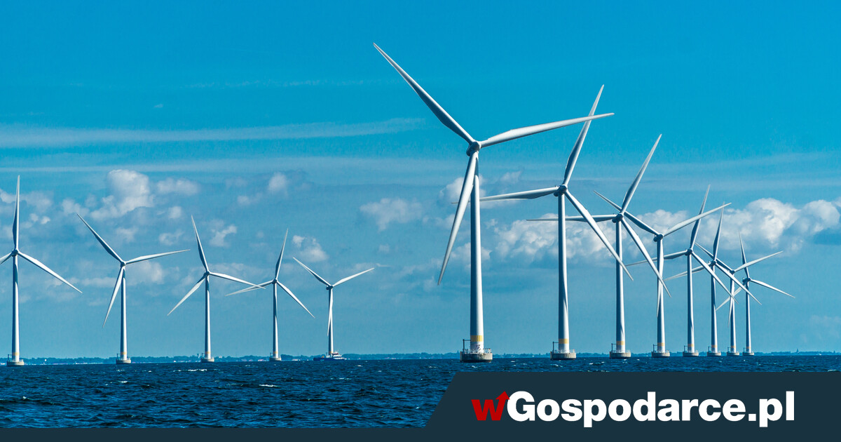 Niesłyszalne, ale bardzo szkodliwe - infradźwięki z farm wiatrowych