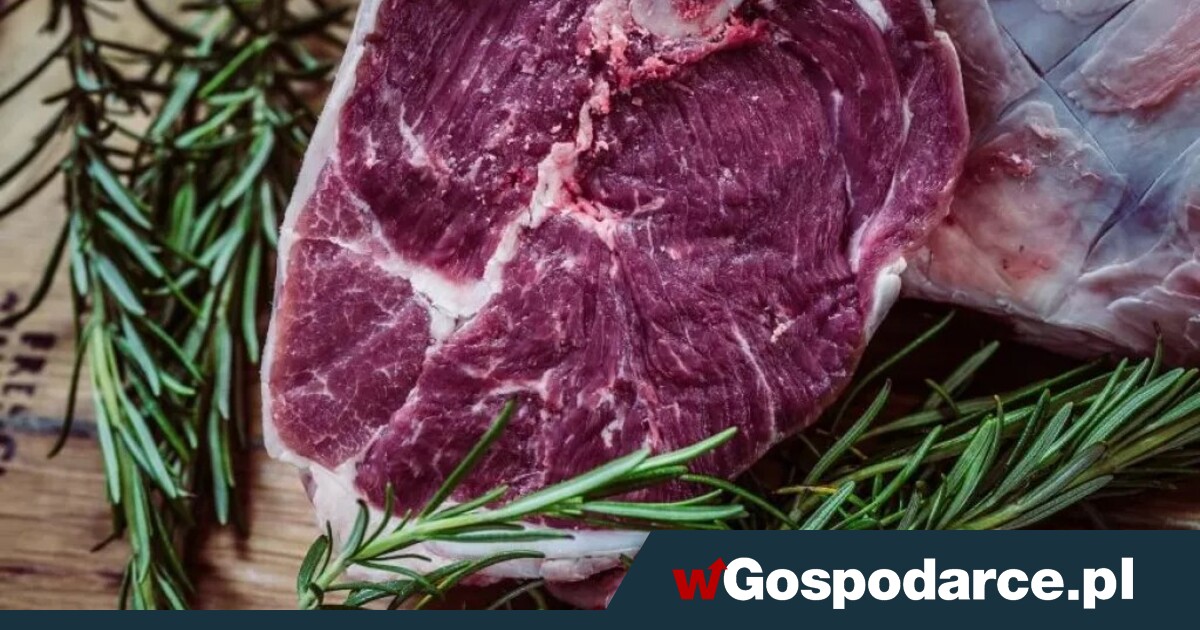 Nowy rynek dla polskiej wołowiny. Będzie wymagający!