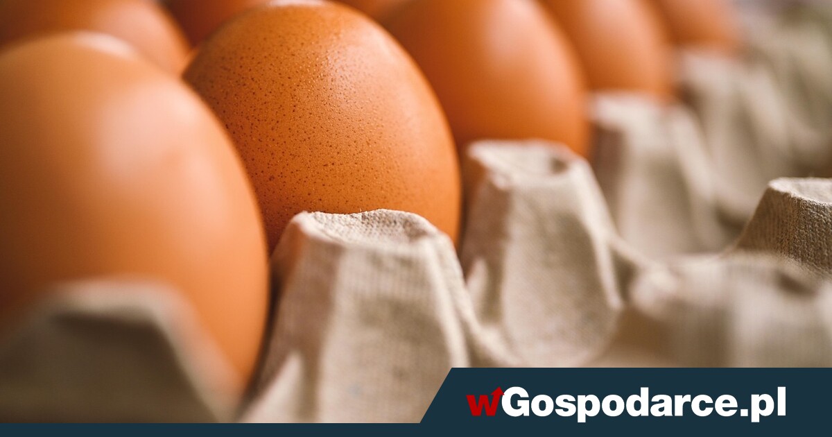 Jaja drożały i drożeją. „Chwilowo popyt doścignął podaż”