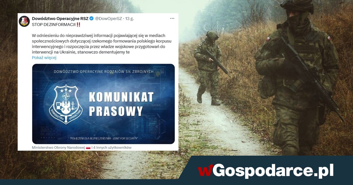 Polska interwencja na Ukrainie? „Stop dezinformacji”