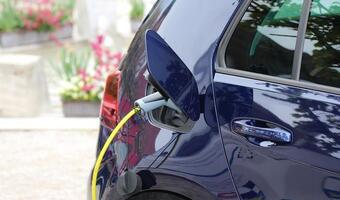 Eksperci: Rośnie liczba aut z napędem elektrycznym