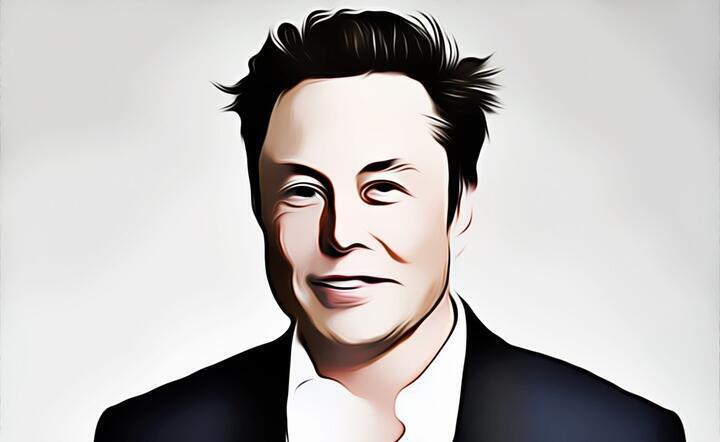Elon Musk / autor: Pixabay