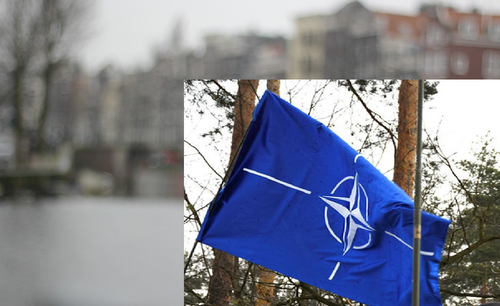 NATO / autor: Fratria/ Pixabay