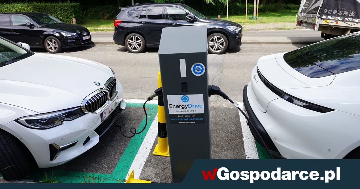 Unijne plany na elektryki są nieosiągalne – ostrzega jeden z potentatów