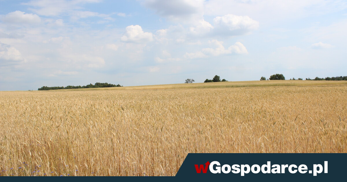 Otrzymaj przelew choćby 120 000 zł. „Rozwój małych gospodarstw”