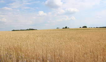 Otrzymaj przelew nawet 120 000 zł. „Rozwój małych gospodarstw”