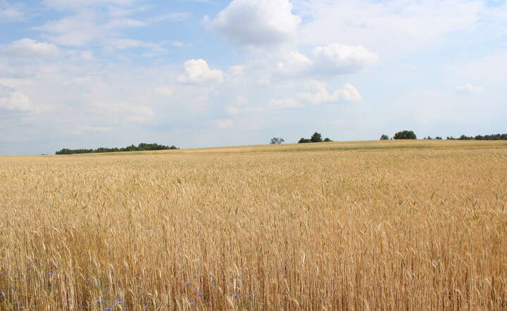 Otrzymaj przelew choćby 120 000 zł. „Rozwój małych gospodarstw”