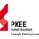 PKEE Polski Komitet Energii Elektrycznej