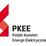 PKEE Polski Komitet Energii Elektrycznej