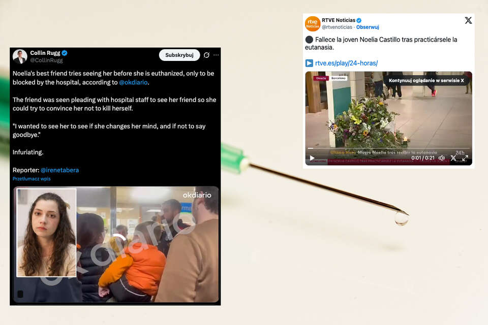 autor: Fratria/X/Pixabay