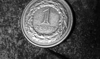 Złoty silniejszy, ale perspektywy nie najlepsze