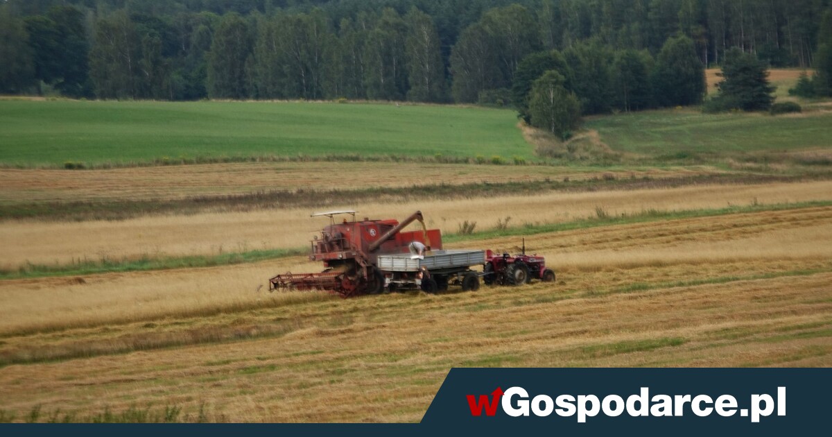 Drożeje najlepsza ziemia rolna