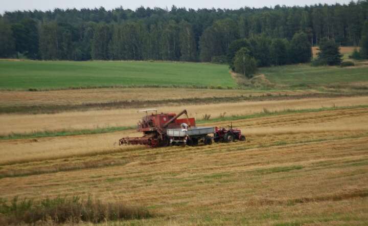 Średnia cena hektara gruntów I i II klasy wyraźnie przekracza już 83 tys. zł. Nz. pola uprawne na Warmii / autor: Fratria /MK