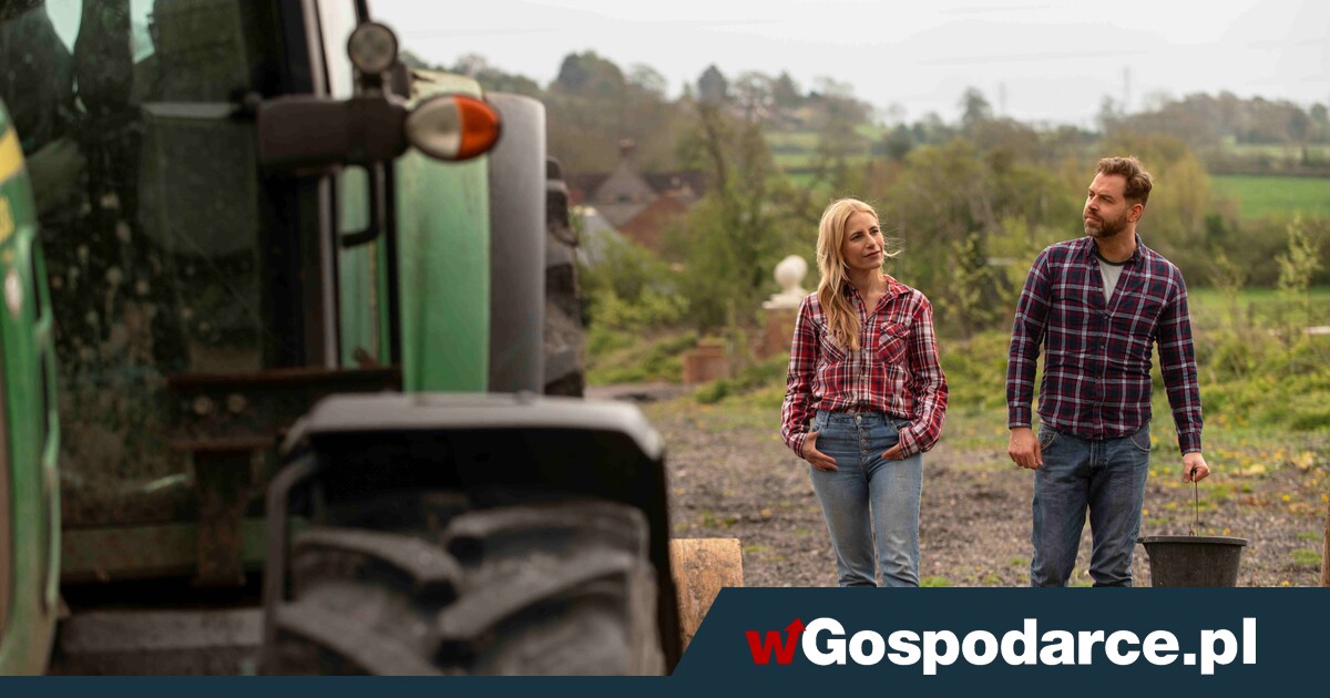 Rentowność produkcji rolnej leci na łeb, na szyję