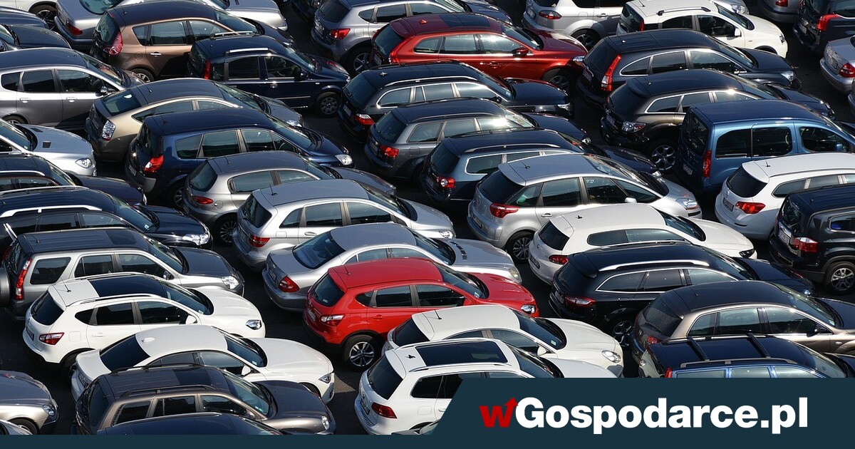 Niemcy się cieszą: Polacy kupują ich auta na pniu