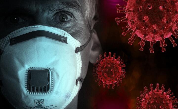 W Lombardii szerzyły się dwa szczepy koronawirusa od stycznia  / autor: Pixabay
