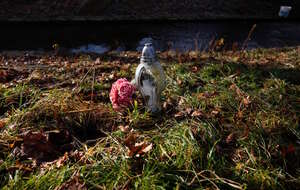 Policja przesłuchała 12-latkę ws. morderstwa 11-letniej uczennicy z Jeleniej Góry. Zdjęcie znicza i kwaitów położonych w pobliżu miejsca, gdzie znaleziono ciało dziewczynki / autor: PAP/Krzysztof Ćwik