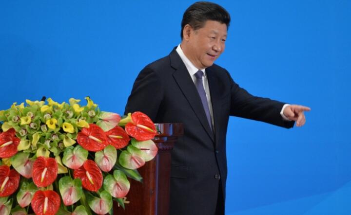 Prezydent Chin Xi Jinping, fot. PAPEPA/KENZABURO FUKUHARA 