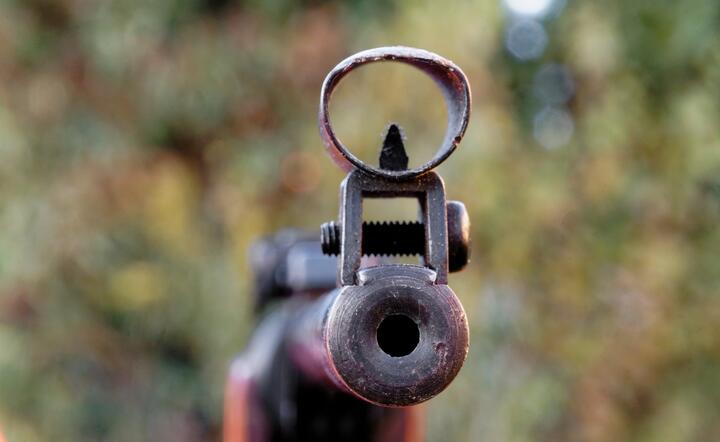 broń palna / autor: pixabay