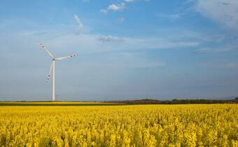 Odnawialne źródła energii: Niezbędna inwestycja czy dobry biznes?