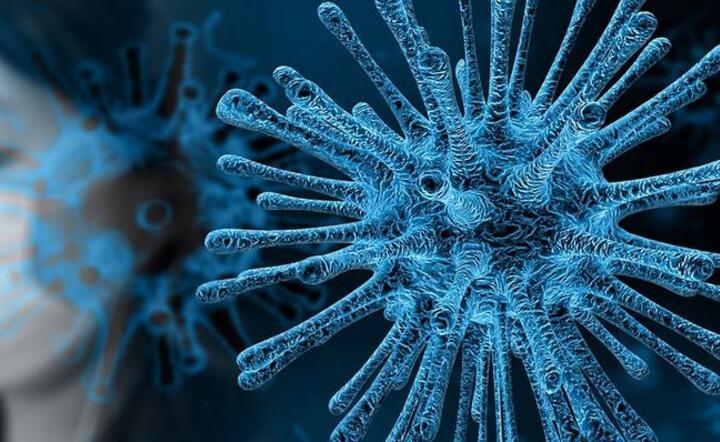 Już ponad 7 mln przypadków nowego koronawirusa