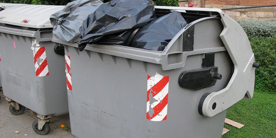 Fot.zdjęcie ilustracyjne freeimages.com