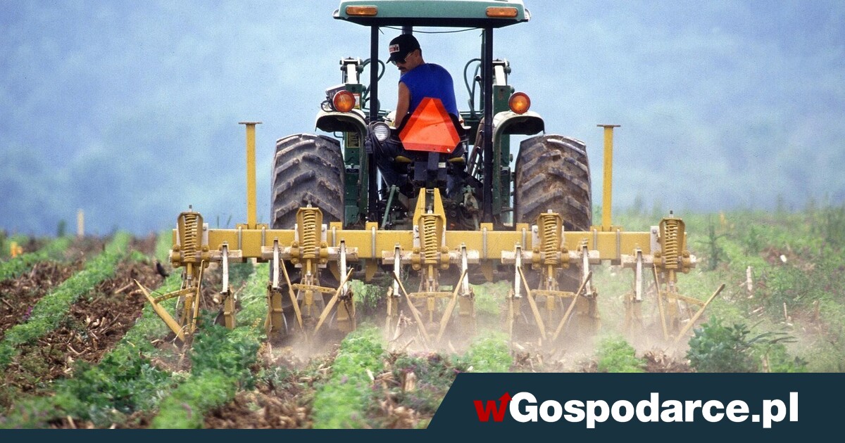 Dla kogo 300 tys. na start?