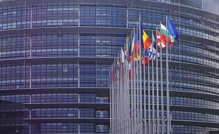 Parlament Europejski może debatować przeciw zakłamywaniu historii / autor: Pixabay