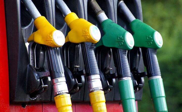 Ceny niektórych paliw będą rosły  / autor: Pixabay