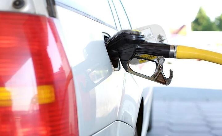 Zmiana stawek opłaty paliwowej nie ma żadnego wpływu na ceny  / autor: Pixabay.com
