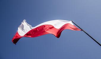 Czas patriotów gospodarczych - polskie, czyli jakie?