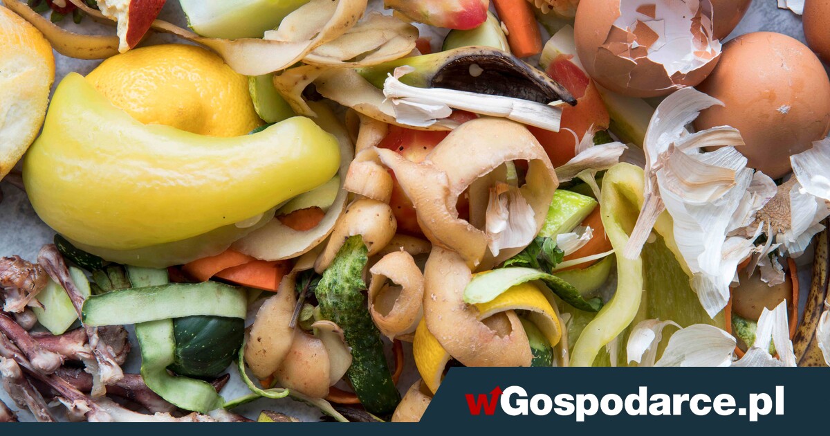 Kłopotliwa rewolucja w bioodpadach