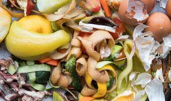 Kłopotliwa rewolucja w bioodpadach