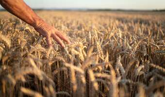 Stary model rolnictwa wali się z hukiem