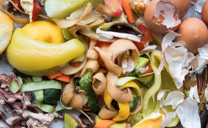 Bioodpady w foliowych workach odejdą do lamusa? / autor: Freepik