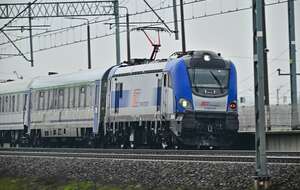 autor: PAP/Przemysław Piątkowski