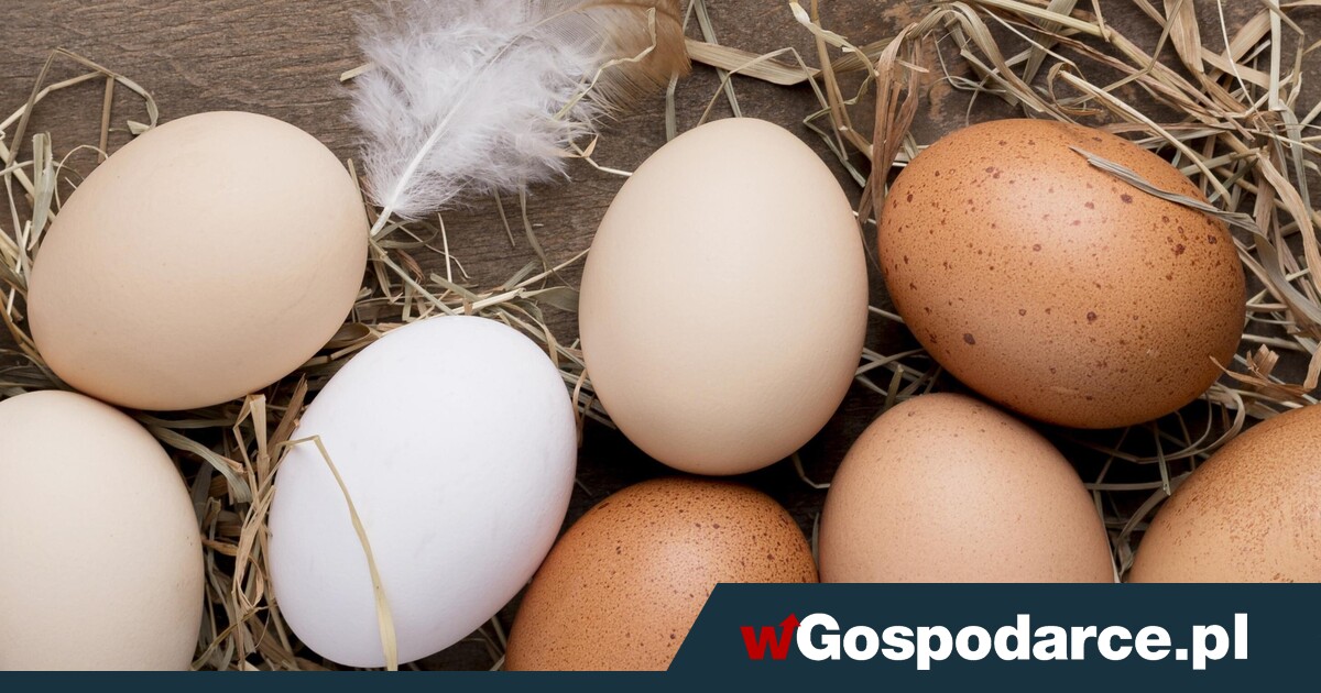 Ceny jaj przed Wielkanocą szokują