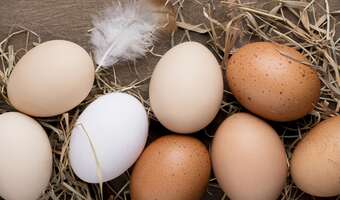 Ceny jaj przed Wielkanocą szokują