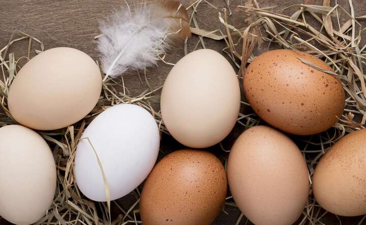 Ceny jaj przed Wielkanocą szokują