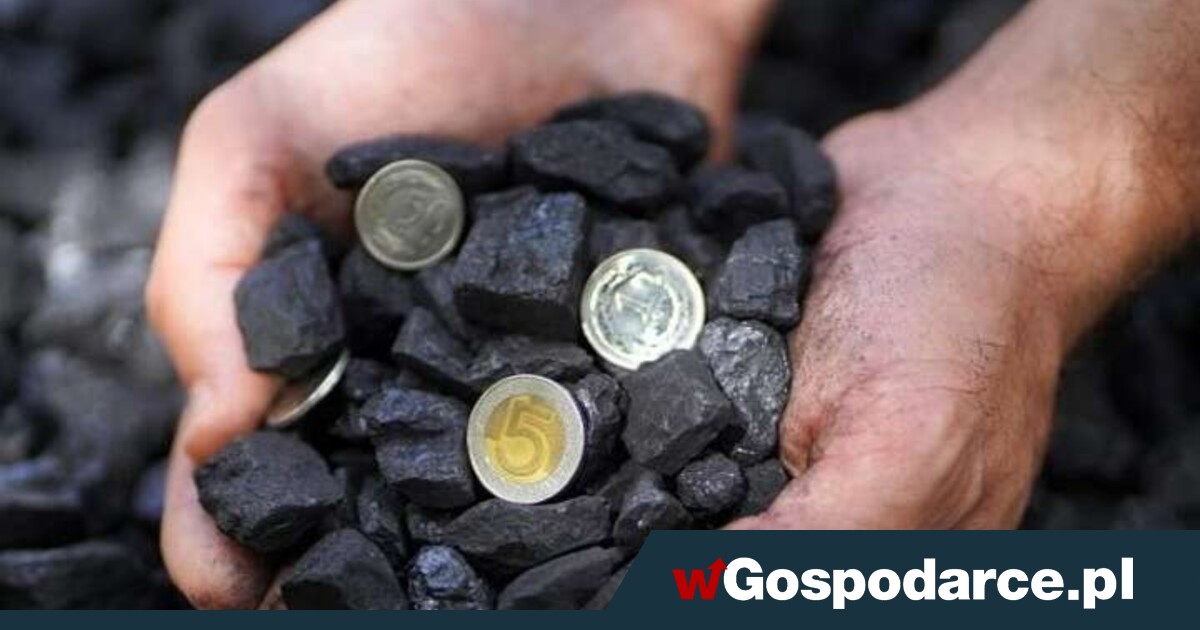 W Internecie czarne kamienie udają węgiel?!