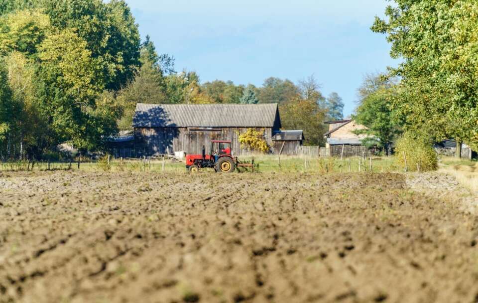 Polskie rolnictwo / autor: Fratria