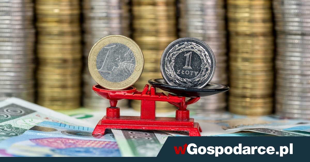 Minister finansów: dziś nie ma powodów, by przyjąć euro