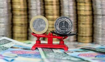 Minister finansów: dziś nie ma powodów, by przyjąć euro