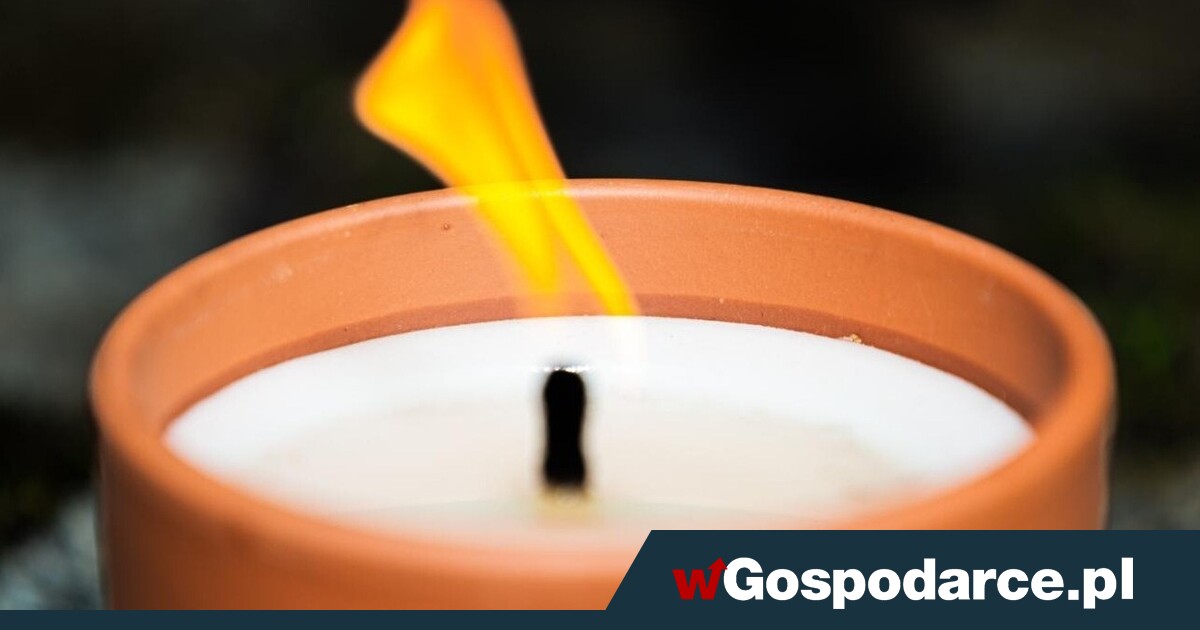 Zmarł współtwórca rybnego potentata