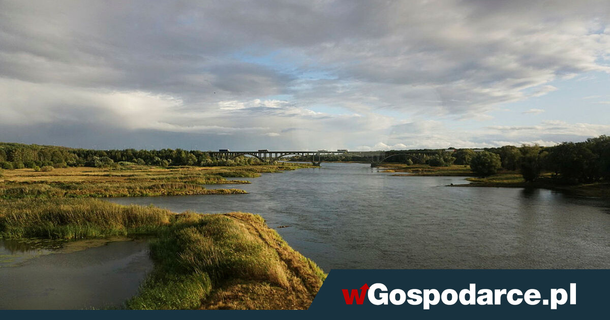 Zabijanie Odry. "Polska ma powrócić do roli ubogich peryferiów Europy"